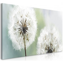 Canvas-taulu Artgeist Fluffy Dandelions Green, 100x45cm