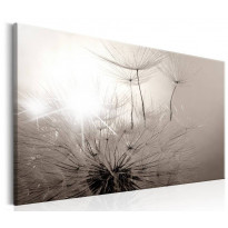 Canvas-taulu Artgeist Beautiful Summer: Dandelions, eri kokoja