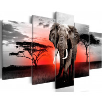 Canvas-taulu Artgeist Lonely Elephant, eri kokoja