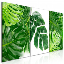 Canvas-taulu Artgeist Palm Leaves, 3-osainen, 60x120cm