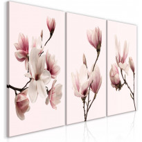 Canvas-taulu Artgeist Spring Magnolias, 120x60cm