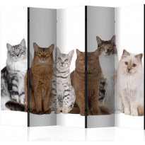 Sermi Artgeist Sweet Cats II, 225x172cm