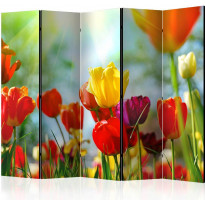 Sermi Artgeist Spring Tulips II, 225x172cm