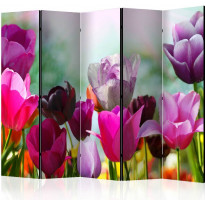 Sermi Artgeist Beautiful Tulips II, 225x172cm
