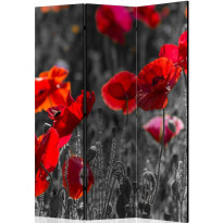 Sermi Artgeist Red Poppies, 135x172cm