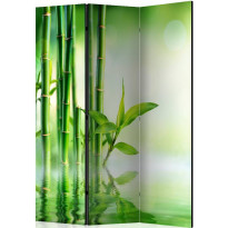 Sermi Artgeist Green Bamboo, 135x172cm