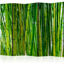 Sermi Artgeist Bamboo Forest II, 225x172cm