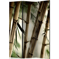 Sermi Artgeist Fog and bamboo forest, 135x172cm