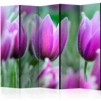 Sermi Artgeist Purple spring tulips II, 225x172cm