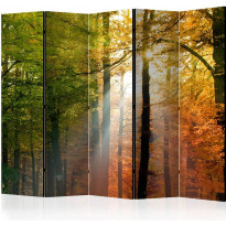 Sermi Artgeist Forest Colours II, 225x172cm