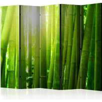 Sermi Artgeist Sun and bamboo II, 225x172cm