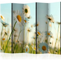 Sermi Artgeist Daisies - spring meadow II, 225x172cm