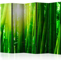 Sermi Artgeist Sun and bamboo, 225x172cm