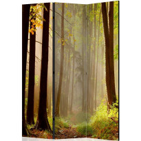 Sermi Artgeist Mysterious forest path, 135x172cm