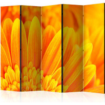 Sermi Artgeist Yellow gerbera daisies II, 225x172cm