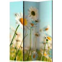 Sermi Artgeist Daisies - spring meadow, 135x172cm