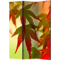 Sermi Artgeist Colourful leaves, 135x172cm
