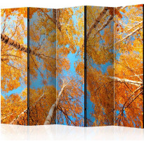 Sermi Artgeist Autumnal treetops II, 225x172cm