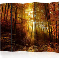 Sermi Artgeist Autumn Illumination II, 225x172cm