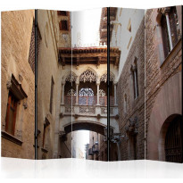 Sermi Artgeist Barcelona Palau generalitat in gothic Barrio II, 225x172cm