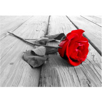 Kuvatapetti Artgeist Abandoned Rose, eri kokoja
