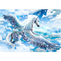 Kuvatapetti Artgeist Pegasus, eri kokoja
