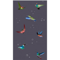 Tapetti Artgeist Flight of hummingbirds, 50x1000cm