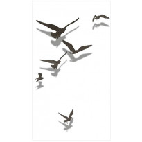 Tapetti Artgeist Free Birds, 50x1000cm