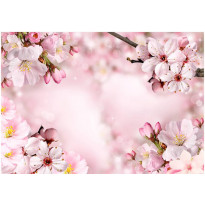 Sisustustarra Artgeist Spring Cherry Blossom, eri kokoja