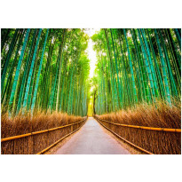 Sisustustarra Artgeist Bamboo Forest, eri kokoja