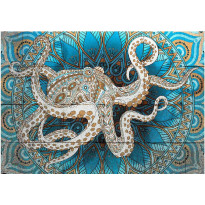 Sisustustarra Artgeist Zen Octopus, eri kokoja