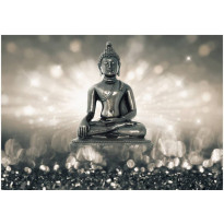 Sisustustarra Artgeist Silver Buddha, eri kokoja