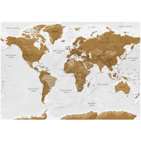Sisustustarra Artgeist World Map: White Oceans, eri kokoja