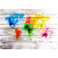 Sisustustarra Artgeist World Map: Colourful Blot, eri kokoja