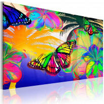 Canvas-taulu Artgeist Exotic butterflies, eri kokoja