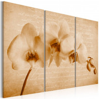 Canvas-taulu Artgeist Vintage Orchid, eri kokoja