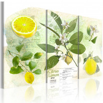 Canvas-taulu Artgeist Fruit: lemon, eri kokoja