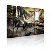 Canvas-taulu Artgeist Black horse and rocky waterfall, eri kokoja
