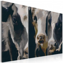 Canvas-taulu Artgeist Piebald cow, eri kokoja