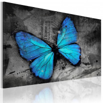 Canvas-taulu Artgeist The study of butterfly, eri kokoja