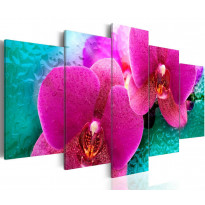 Canvas-taulu Artgeist Exotic orchids, eri kokoja