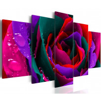 Canvas-taulu Artgeist Multicoloured rose, eri kokoja