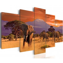 Canvas-taulu Artgeist Africa: Elephants, eri kokoja