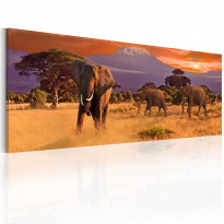Canvas-taulu Artgeist March of african elephants, eri kokoja