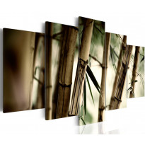 Canvas-taulu Artgeist Asian bamboo forest, eri kokoja