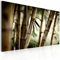 Canvas-taulu Artgeist In a tropical forest, eri kokoja
