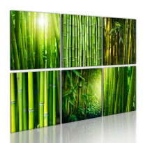 Canvas-taulu Artgeist Bamboo has many faces, eri kokoja