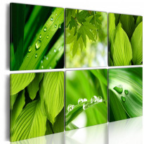 Canvas-taulu Artgeist Fresh green leaves, eri kokoja