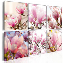 Canvas-taulu Artgeist Southern magnolias, eri kokoja