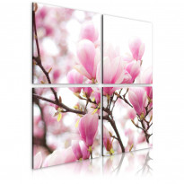 Canvas-taulu Artgeist Blooming magnolia tree, eri kokoja